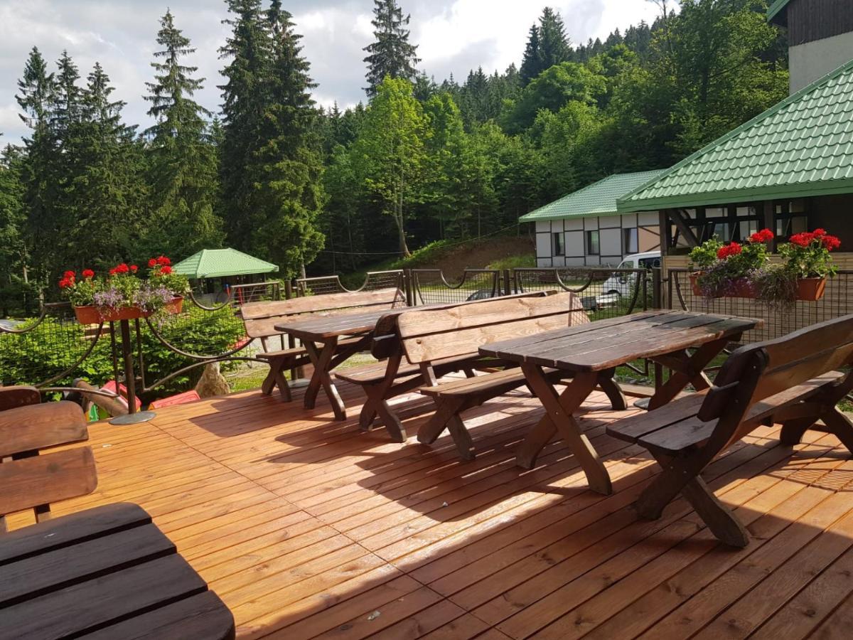 Bed and Breakfast Bialy Potok Zieleniec  Exterior foto