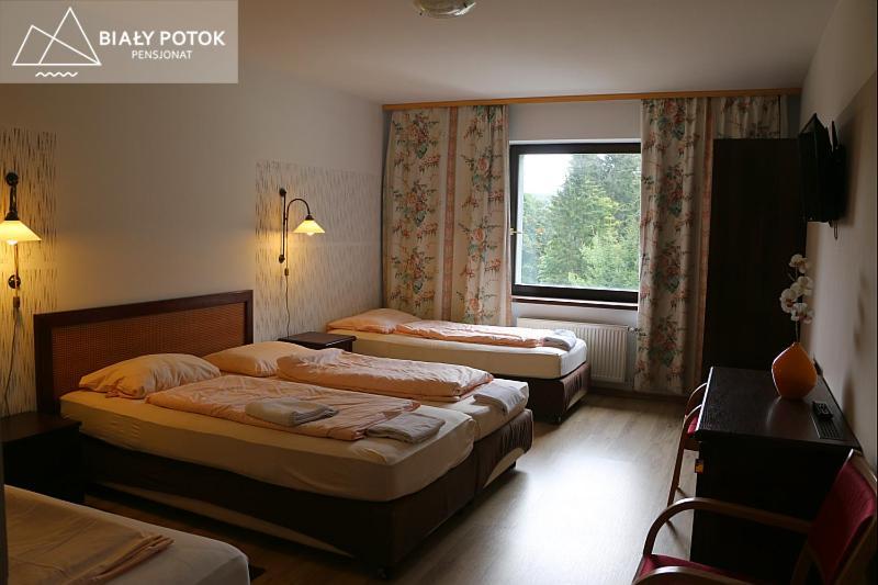 Bed and Breakfast Bialy Potok Zieleniec  Exterior foto