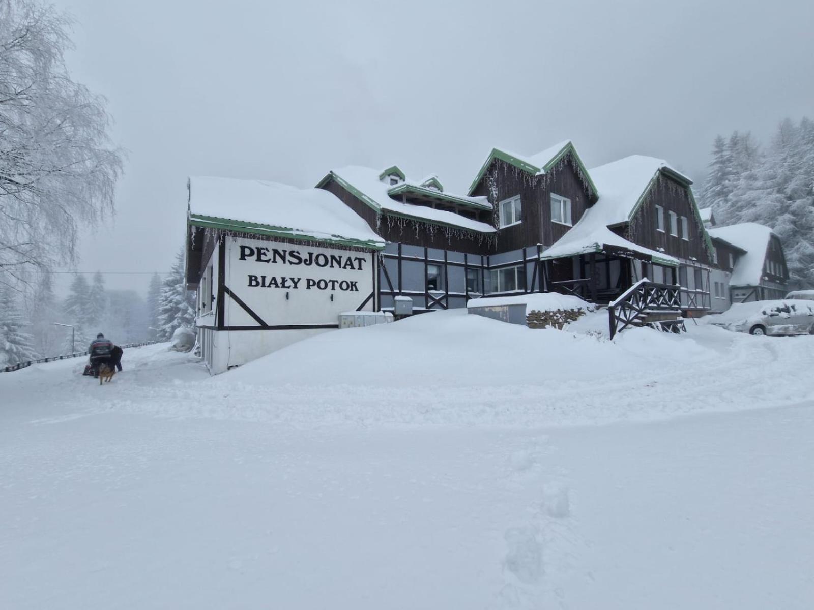 Bed and Breakfast Bialy Potok Zieleniec  Exterior foto